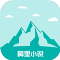 →红桃视频官方版APP应用